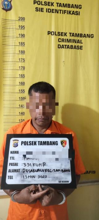 Cekcok di Kebun, Pelaku Penganiayaan di Tangkap Polsek Tambang